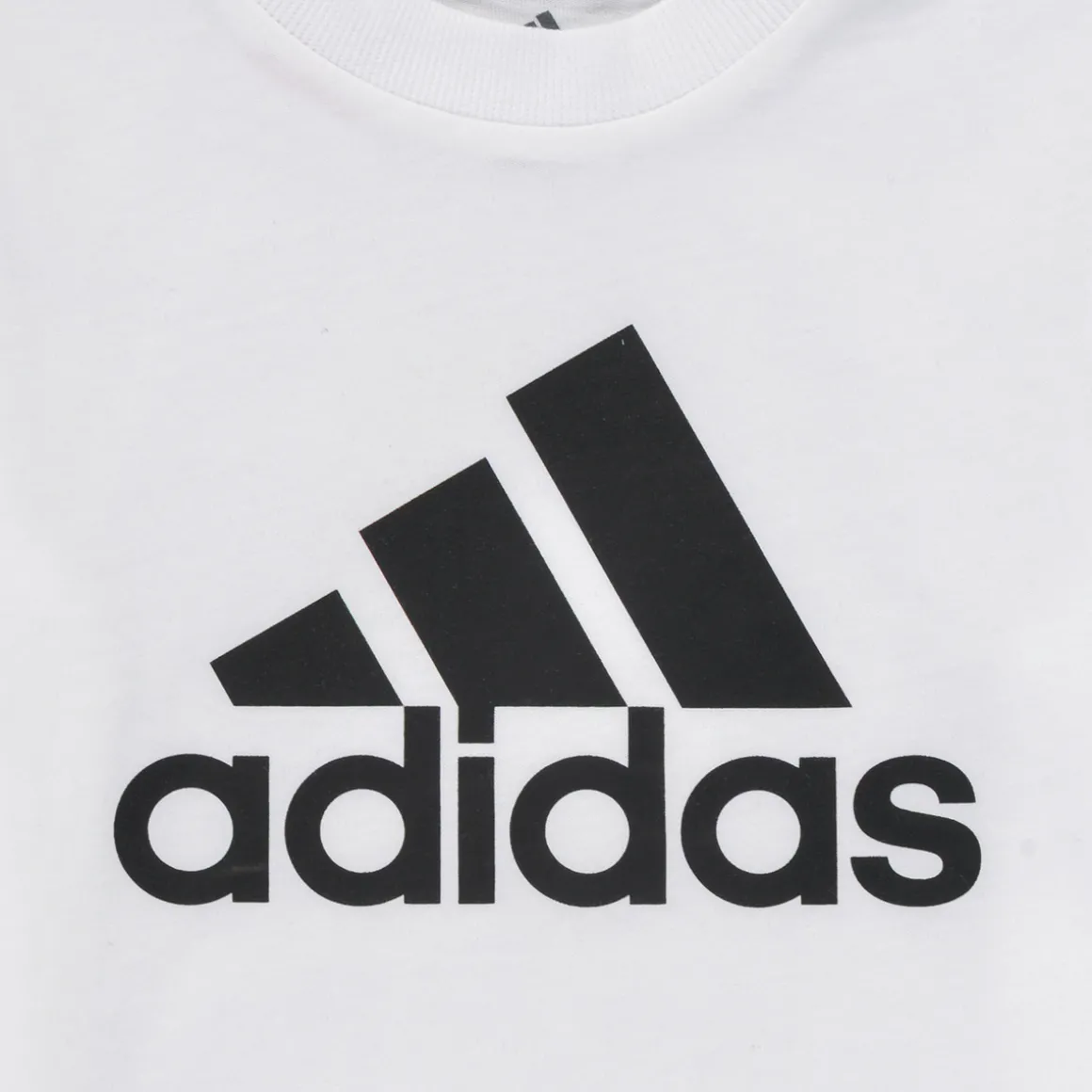 Adidas Sportswear - TINEBRE
