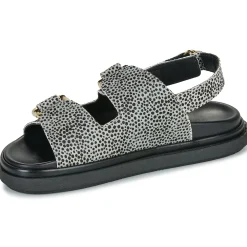 ALOHAS - HARPER SOFT