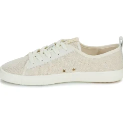 Armistice - NOVO ONE W