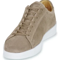 Blackstone - CATO VICTOR