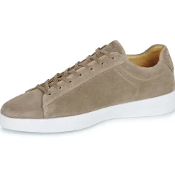 Blackstone - CATO VICTOR