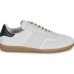 Blackstone - LIME WREN