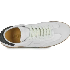 Blackstone - LIME WREN