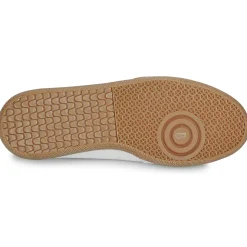 Blackstone - LIME WREN