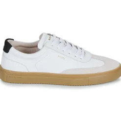 Blackstone - SLATE HARPER