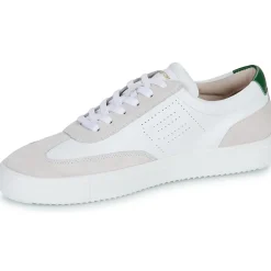 Blackstone - SLATE HARPER PERF