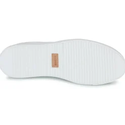 Blackstone - SLATE HARPER PERF