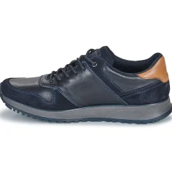 Bugatti - 331APA021410-4141