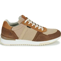 Bullboxer - DEAN CUP LOW M