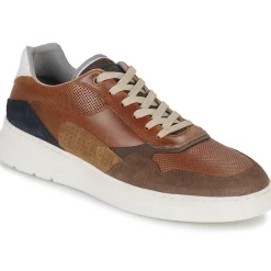 Bullboxer - 114P21857ACGBN