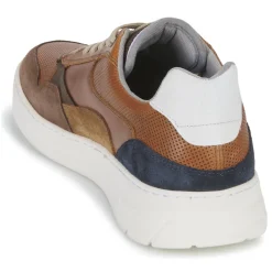 Bullboxer - 114P21857ACGBN