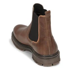 Bullboxer - SOHIL CHELSEA