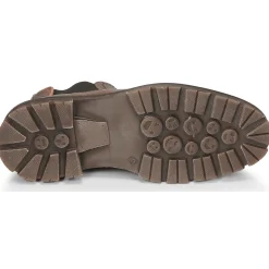 Bullboxer - SOHIL CHELSEA