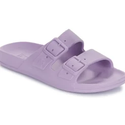 Cacatoès - BELO HORIZONTE