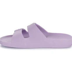 Cacatoès - BELO HORIZONTE