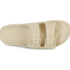 Cacatoès - BELO HORIZONTE