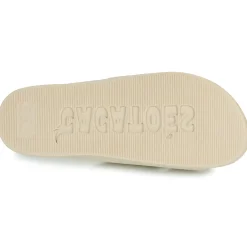 Cacatoès - BELO HORIZONTE