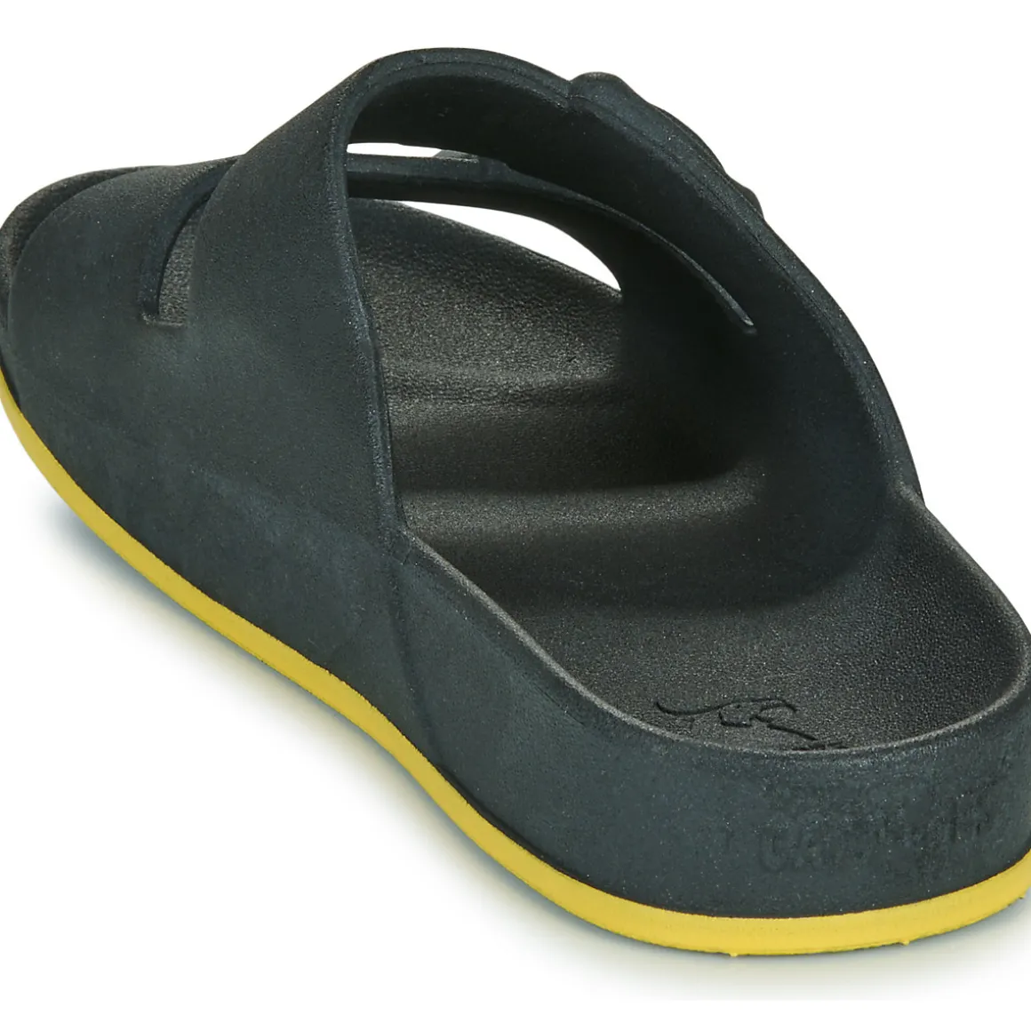 Cacatoès - BRASILIA