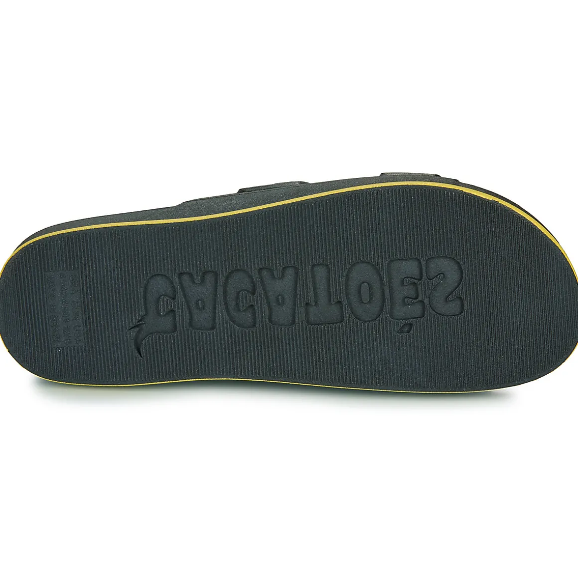 Cacatoès - BRASILIA