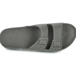 Cacatoès - RIO DE JANEIRO