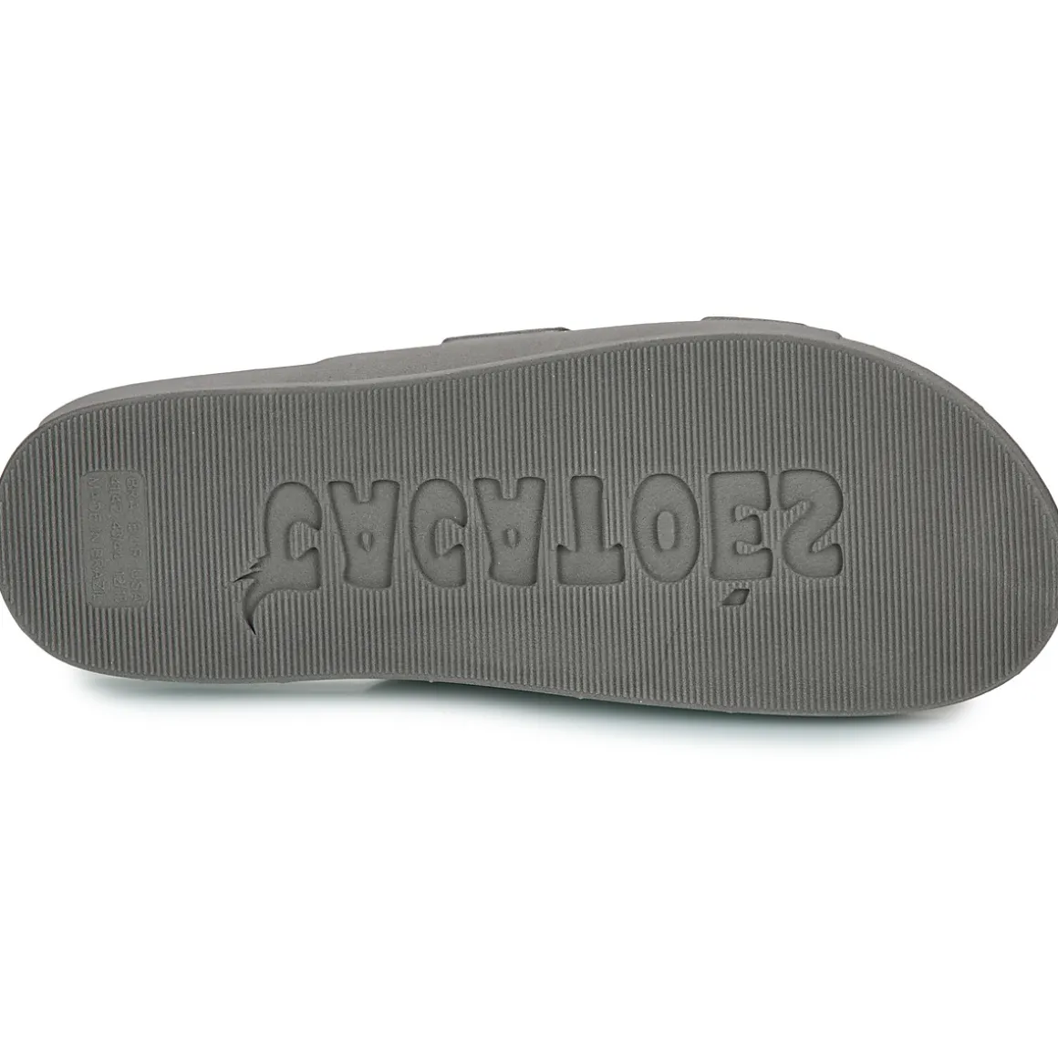 Cacatoès - RIO DE JANEIRO