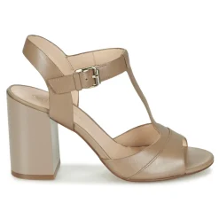 Café Noir - GIMOTTI