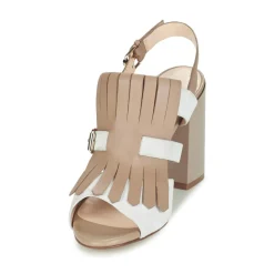 Café Noir - GONFERT