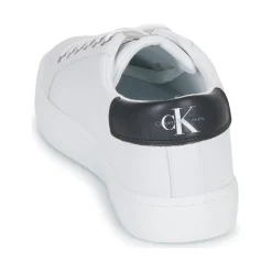 Calvin Klein Jeans - CLASSIC CUPSOLE LACEUP LOW LTH