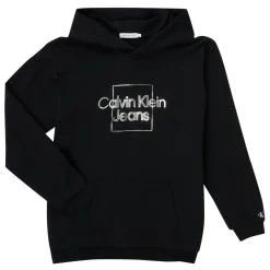 Calvin Klein Jeans - METALLIC BOX LOGO RELAXED HOODIE