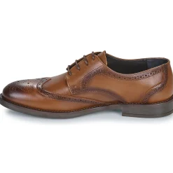 Carlington - LOUVIAN