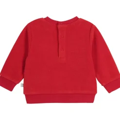 Carrément Beau - POLINA