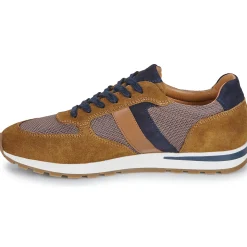 Casual Attitude - BILANE