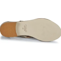 Casual Attitude - COUTIL