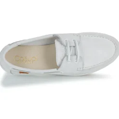 Casual Attitude - ELVAM