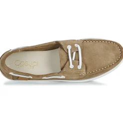 Casual Attitude - ELVAM