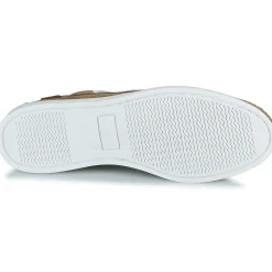 Casual Attitude - ELVAM