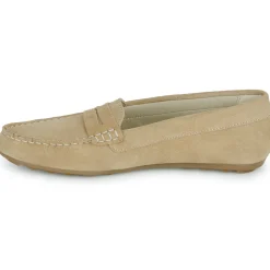 Casual Attitude - ISAWA