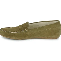 Casual Attitude - ISAWA