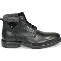 Casual Attitude - NAPILLON