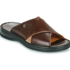 Casual Attitude - NELIDOU