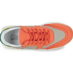 Casual Attitude - STRANI