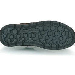 Caterpillar - CITE LOW