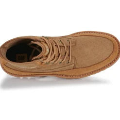 Caterpillar - COLORADO 2.0 CANVAS