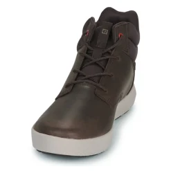 Caterpillar - PROXY HI