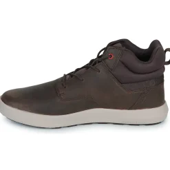 Caterpillar - PROXY HI