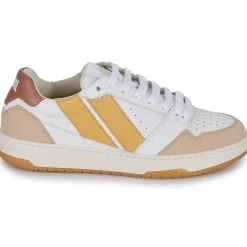 Caval - BROWN SAHARA