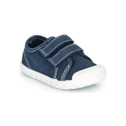 Chicco - CAMBRIDGE