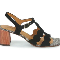 Chie Mihara - LUCALA