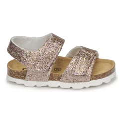 Citrouille et Compagnie - BELLI JOE