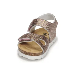 Citrouille et Compagnie - BELLI JOE